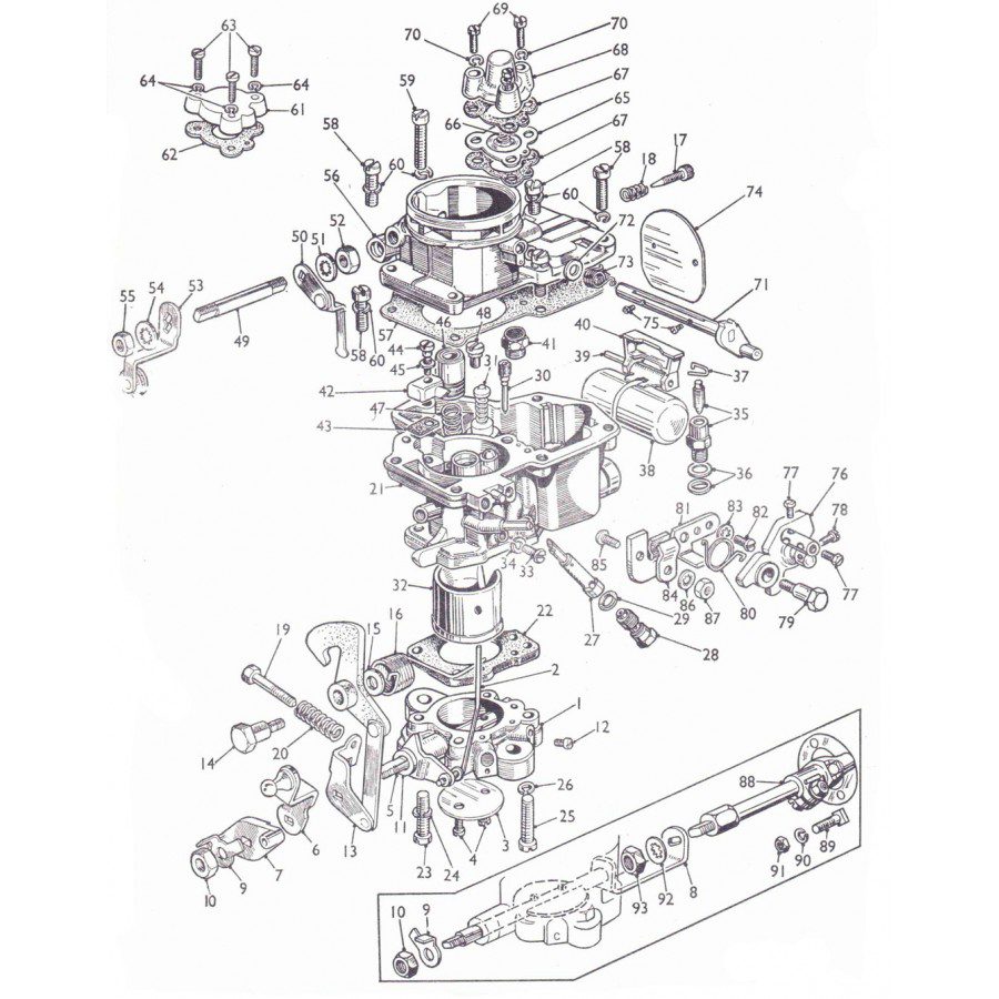 Vis de richesse – Image 2